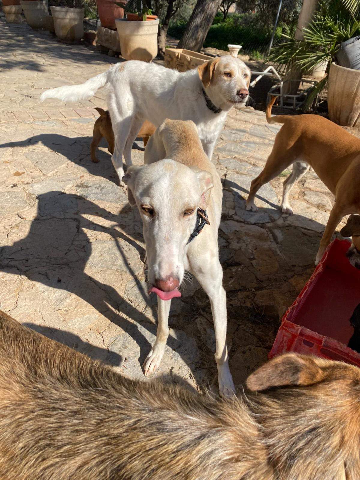 storm_1229791482694471