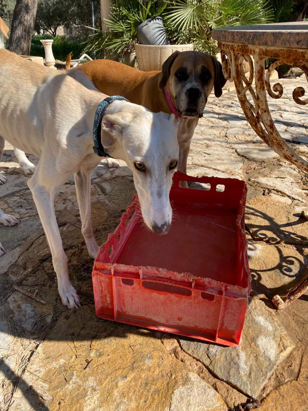 storm_1229791496027803