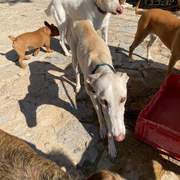 storm_1229791552694464