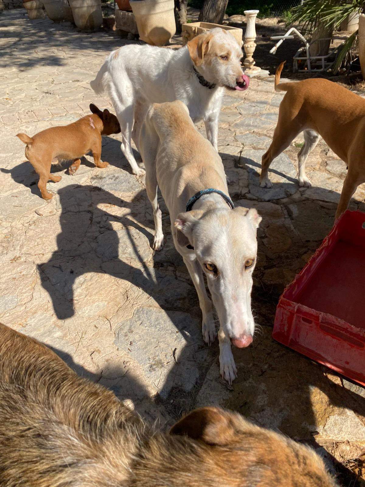 storm_1229791552694464