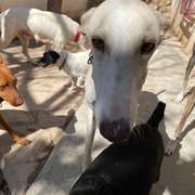 storm_1291084833231802