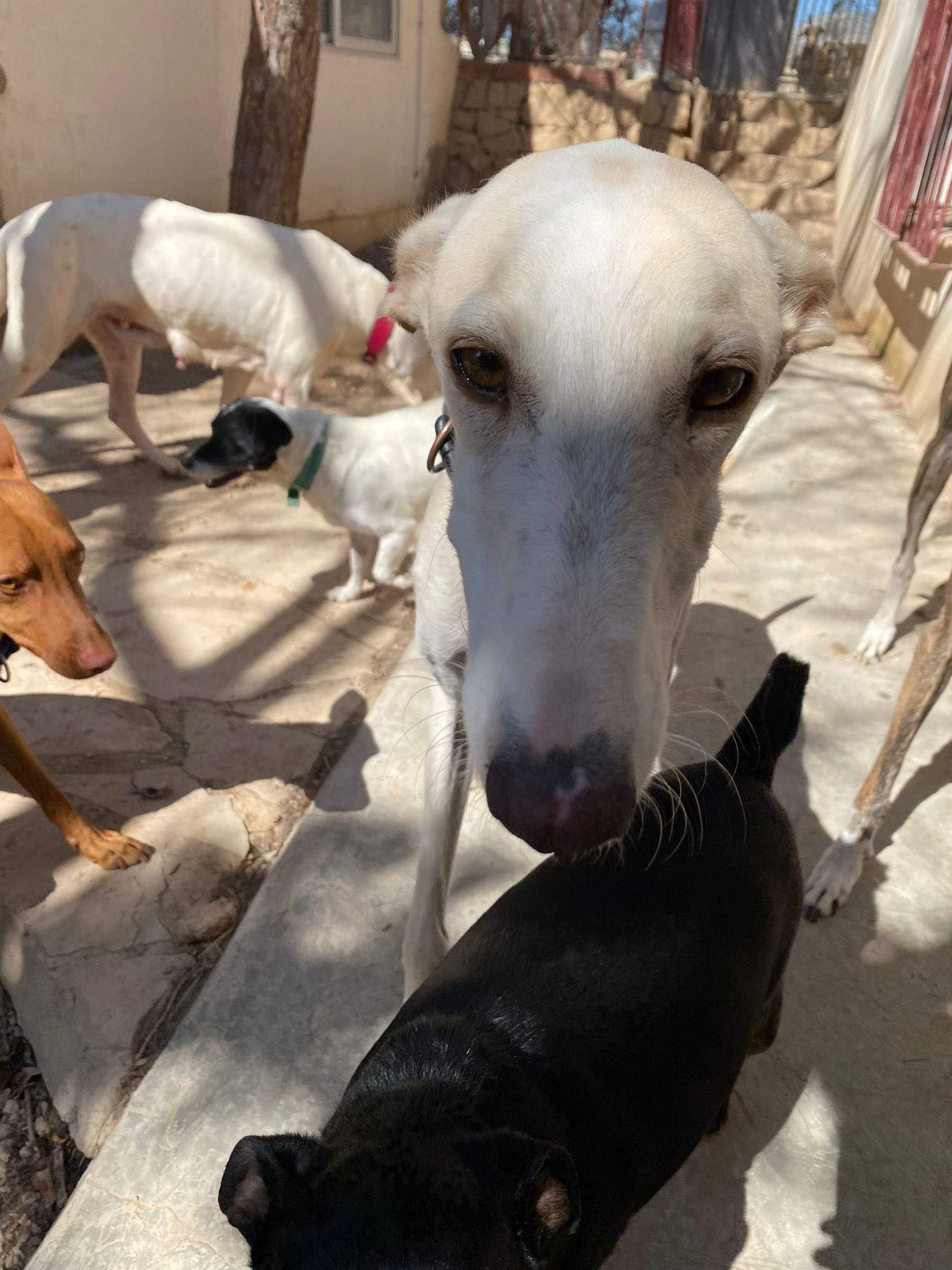 storm_1291084833231802