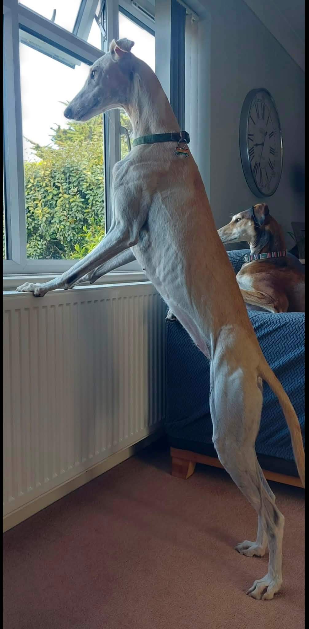 storm_1386890353651249