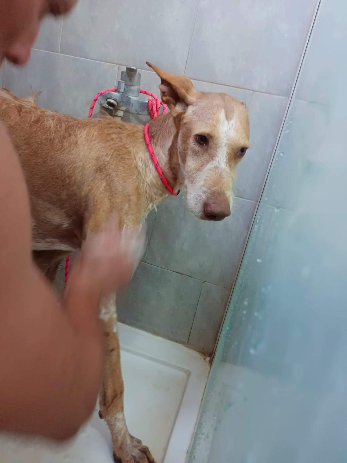 thai_1070913211915633