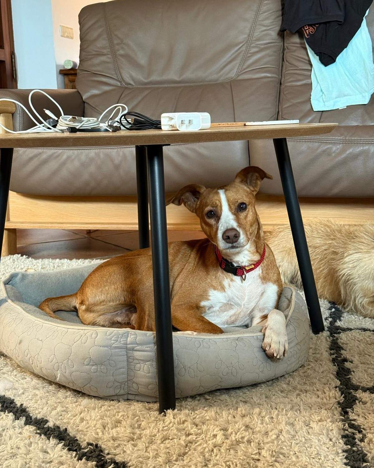 thor_1179688814371405