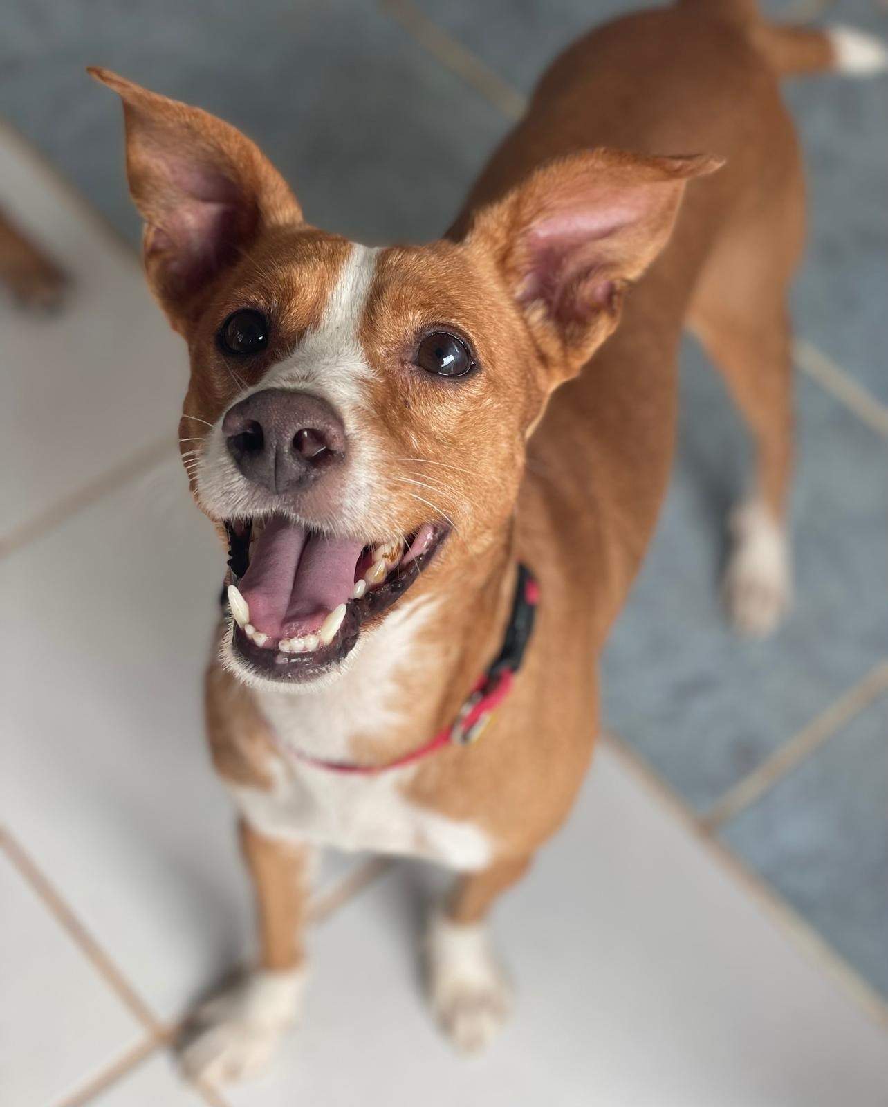 thor_1179688824371404