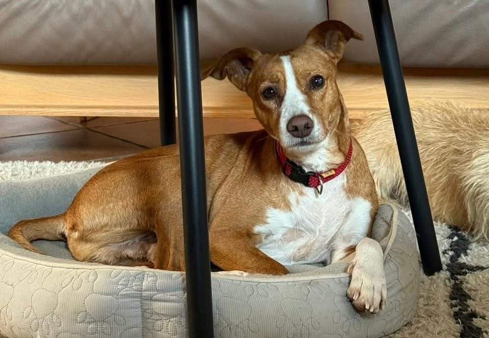 thor_1179688914371395