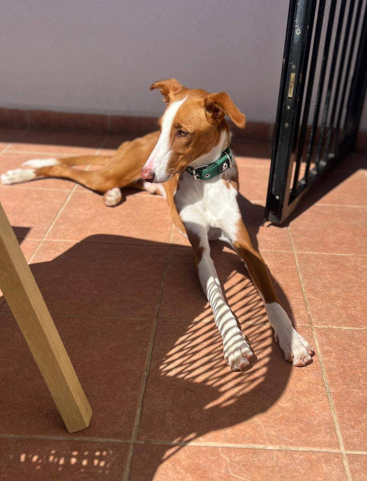 tom_1269802798693339