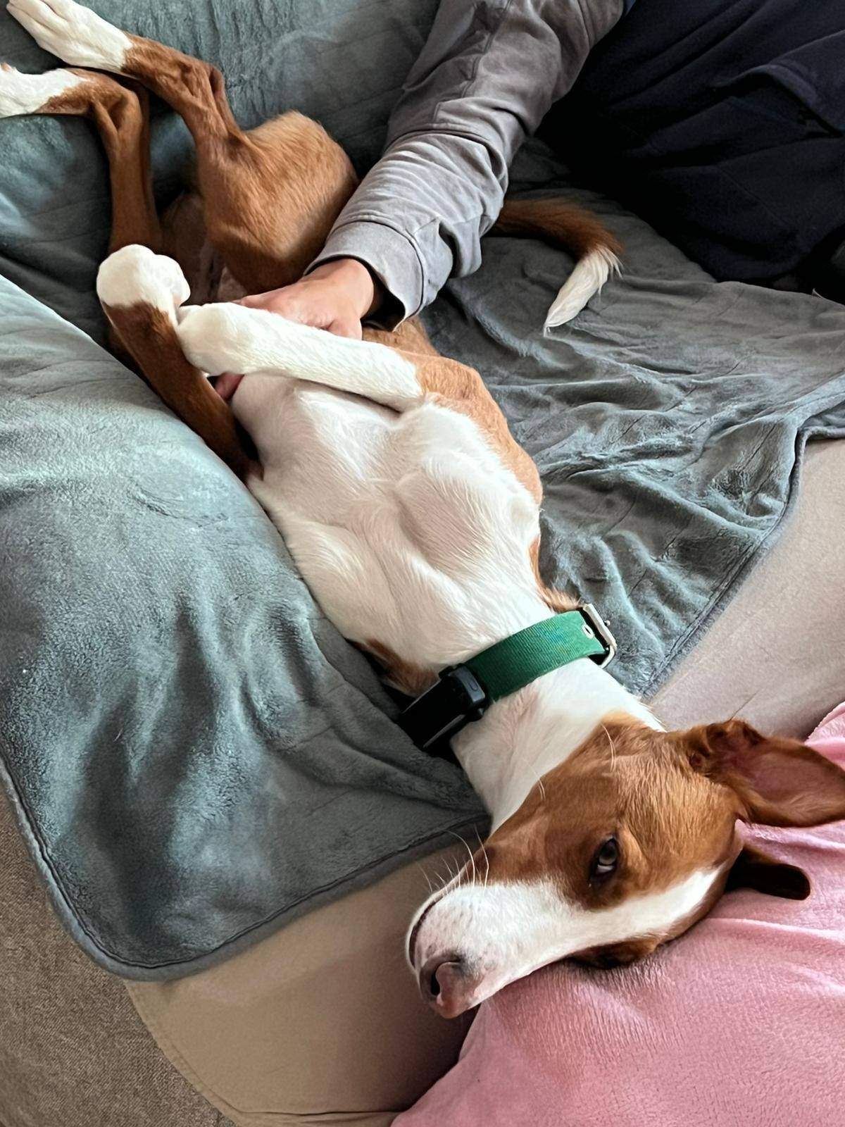 tom_1269802968693322