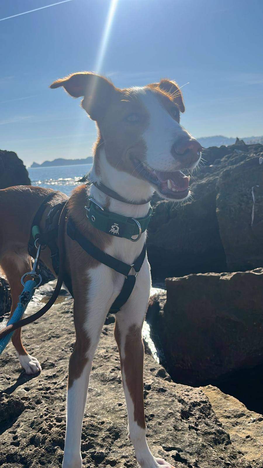 tom_1269803028693316