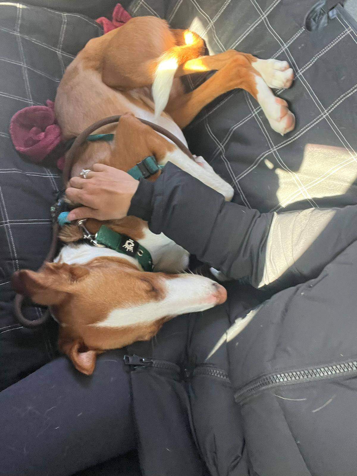 tom_1269803108693308