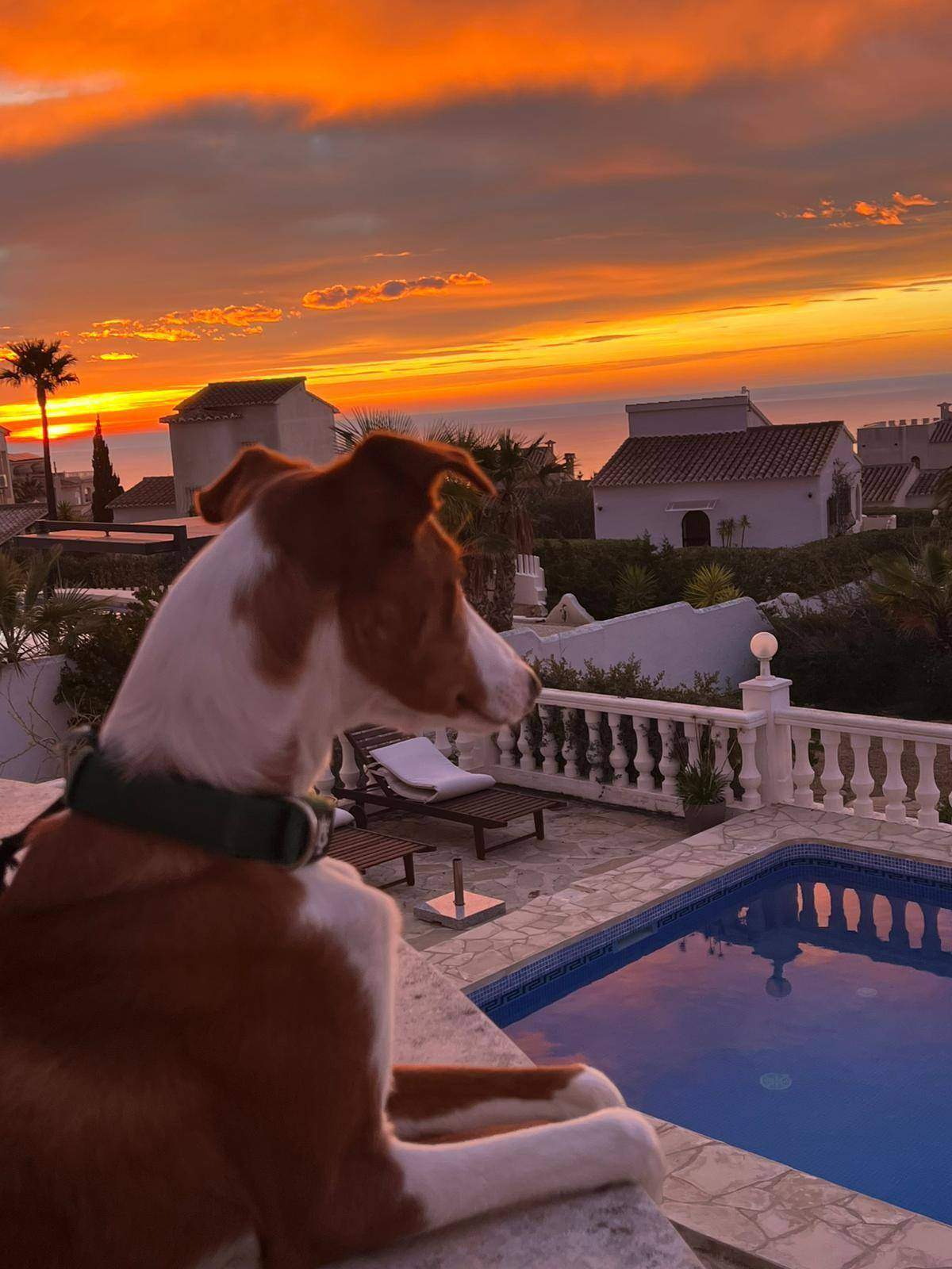 tom_1269803568693262