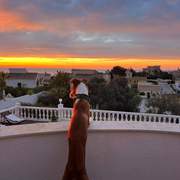 tom_1269803632026589