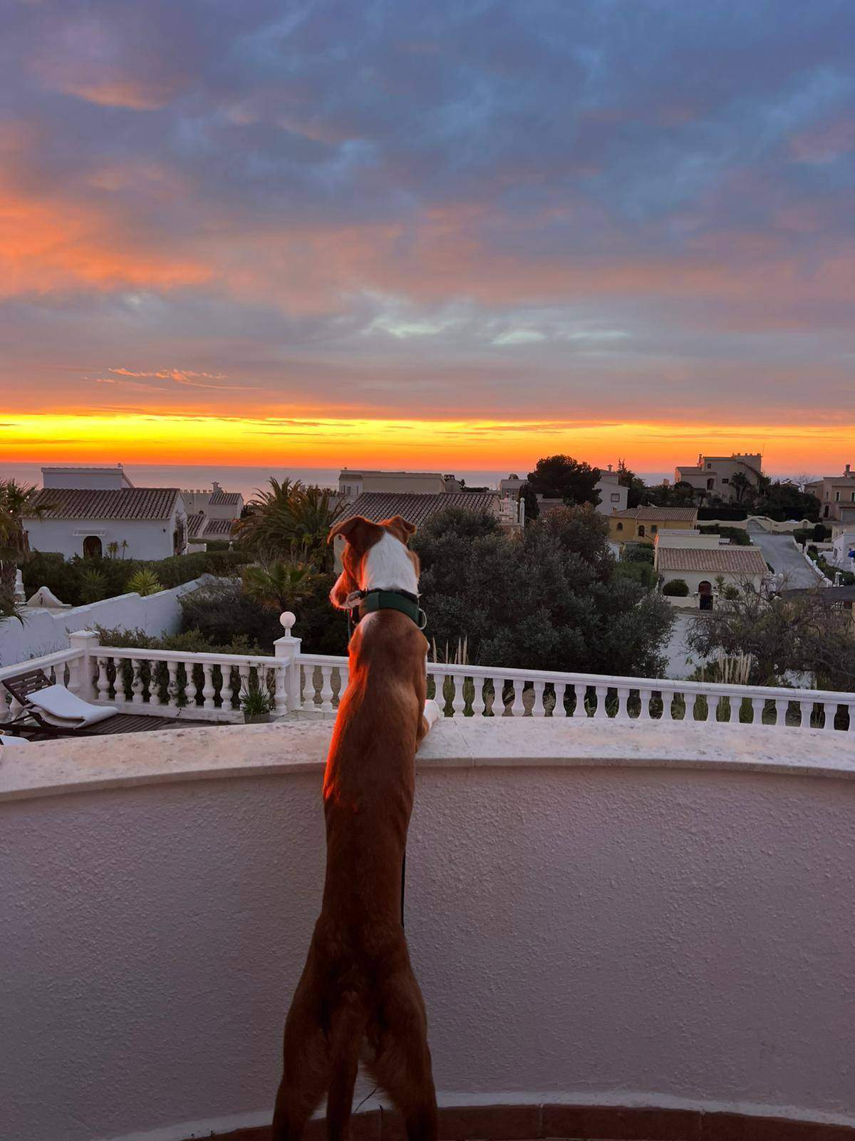 tom_1269803632026589