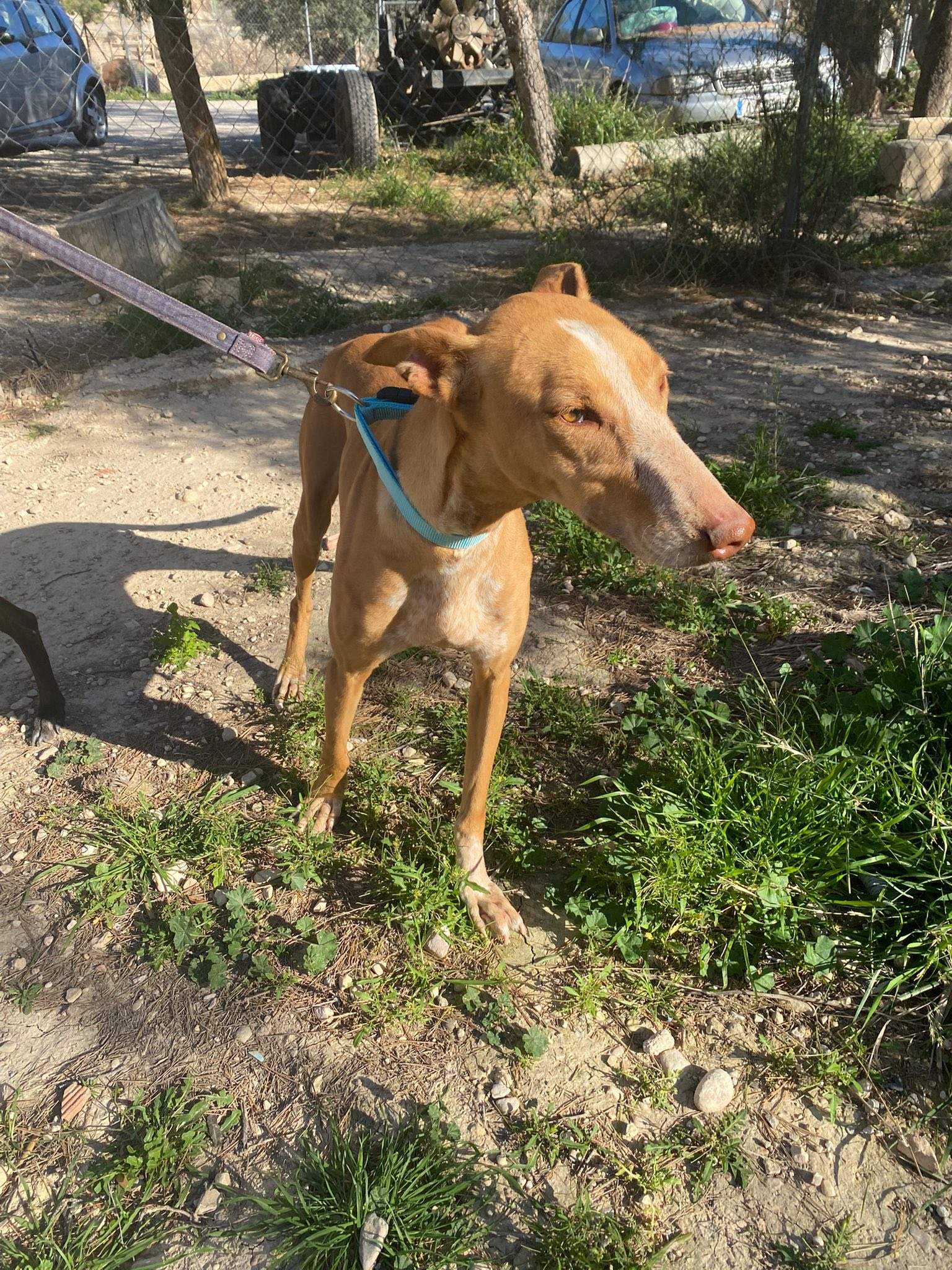 viva_1229871199353166