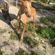 viva_1229871306019822