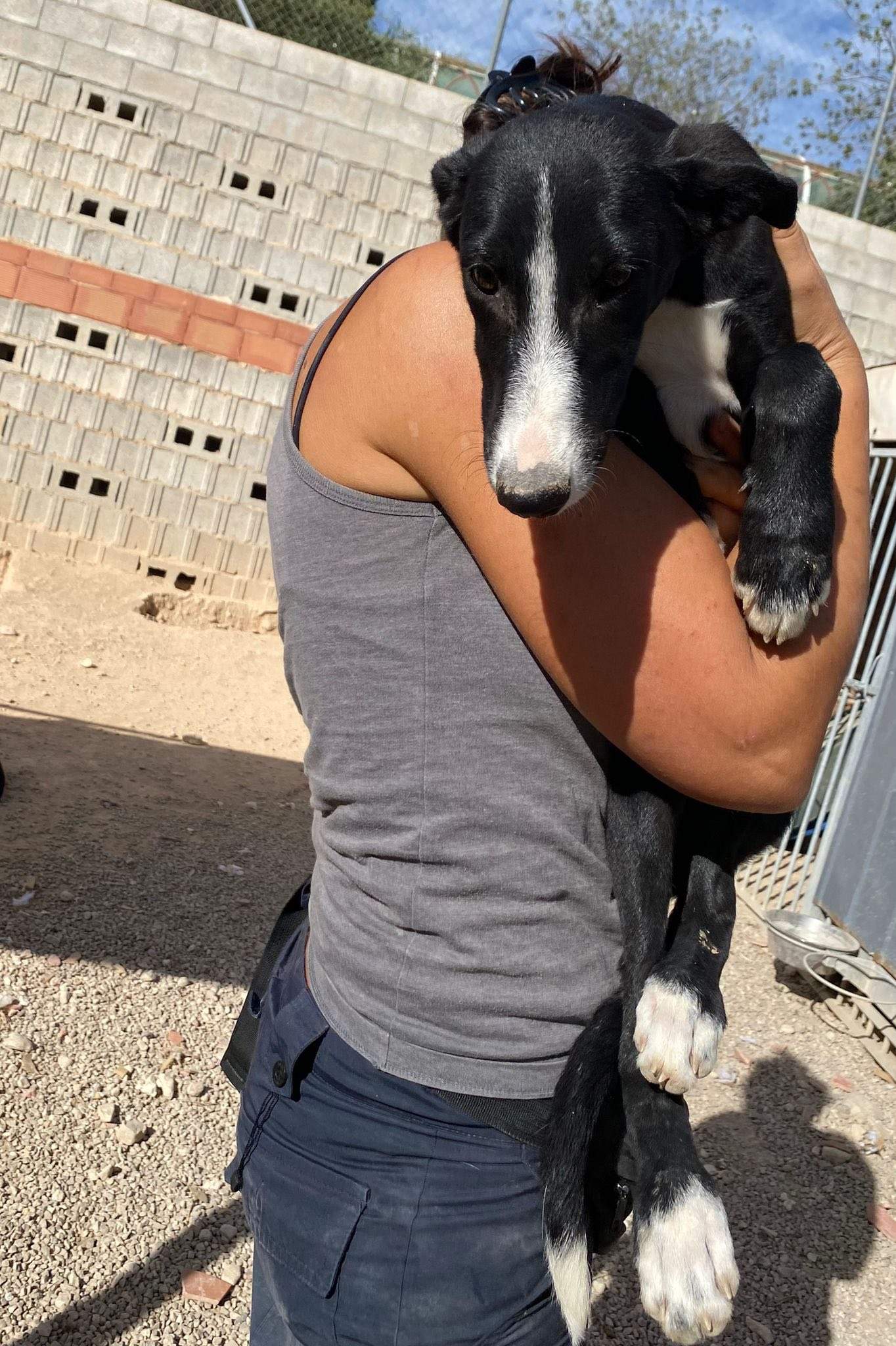 willow_1138088375198116