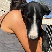 willow_1138088508531436