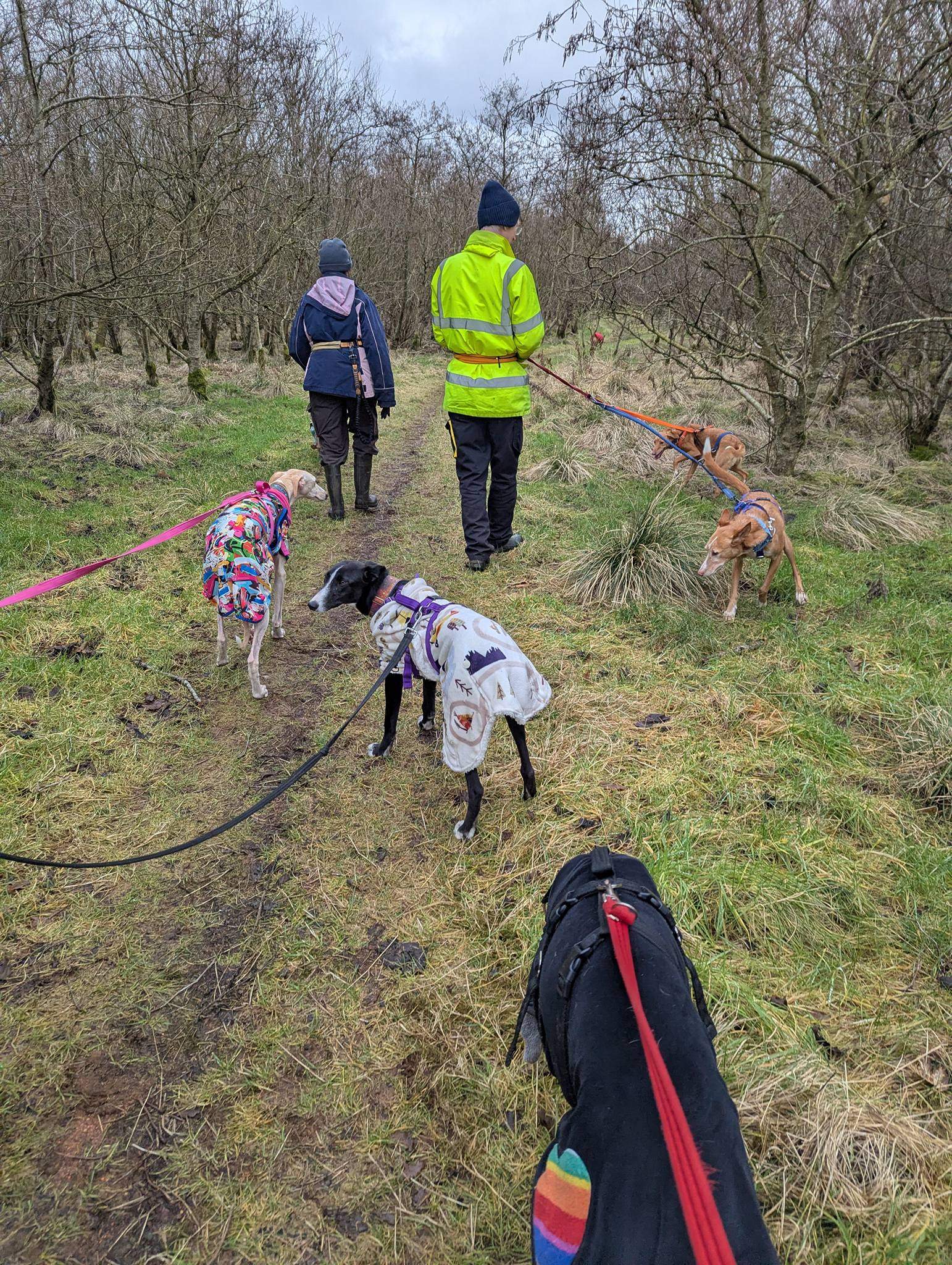 willow_1213949270945359